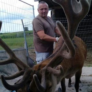 Hirschzüchter Ingo Leitholdt mit Hirsch